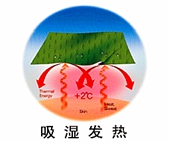 发热纤维